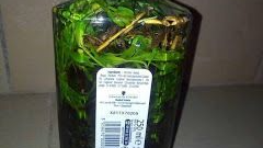 PARFUM MAGIQUE D'ATTIRANCE, CHANCE AUX JEUX DE HASARD, MAITRE SIKILI MOUSSA